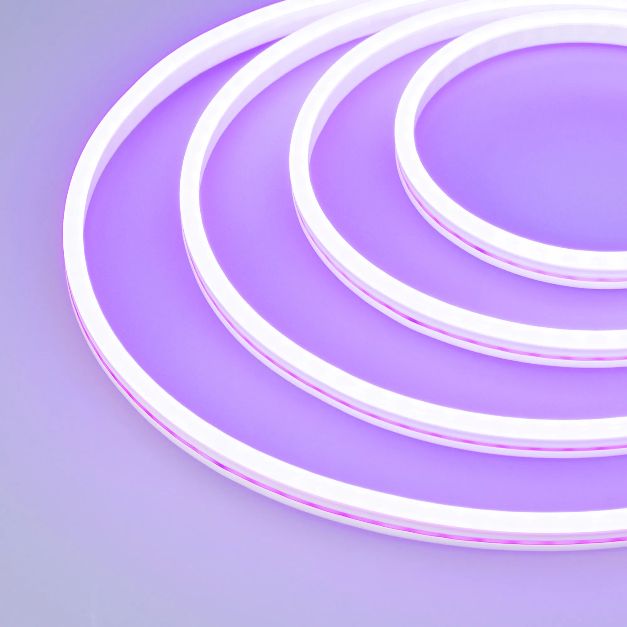 Образец Гибкий неон GALAXY-1206-5000CFS-2835-100 12V Purple 0.5M (12x6mm, 12W, IP67) (Arlight, 12 Вт/м, IP67) - Изображение