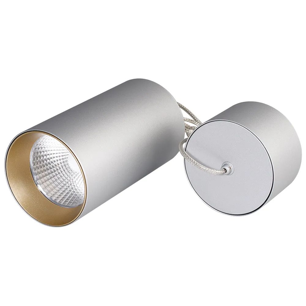 Светильник подвесной SP-POLO-R85-2-15W Day White 40deg (Silver, Gold Ring) (Arlight, IP20 Металл, 3 года) - Изображение
